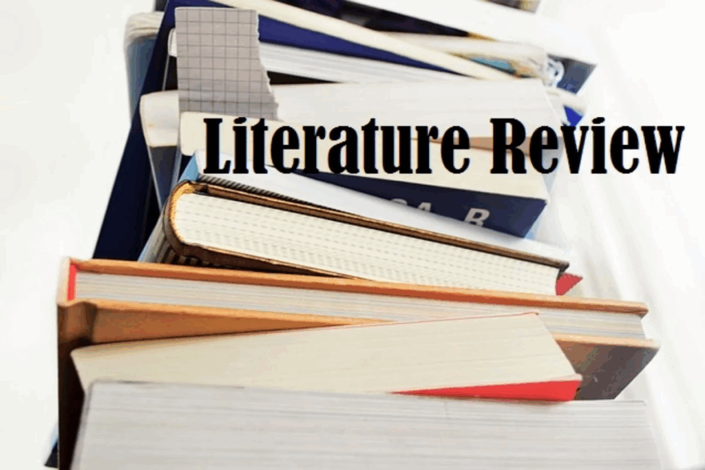 Effective Literature Review Techniques for Research and Seminar Articles